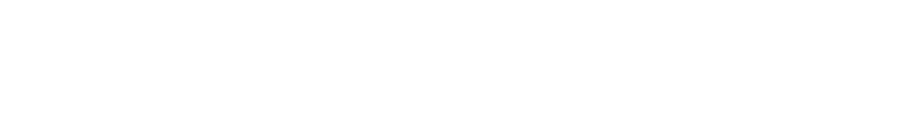 VikingChoice