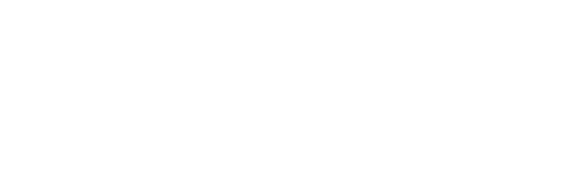 Street Smart Capital
